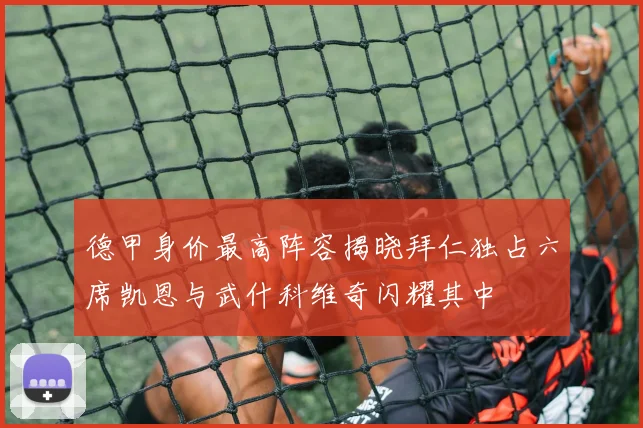 德甲身价最高阵容揭晓拜仁独占六席凯恩与武什科维奇闪耀其中