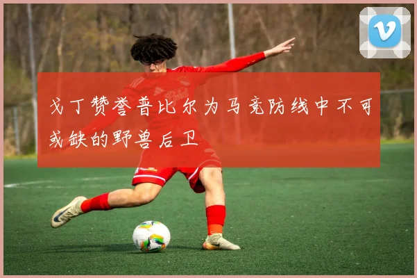 戈丁赞誉普比尔为马竞防线中不可或缺的野兽后卫