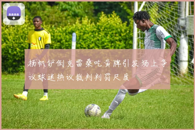 杨帆铲倒克雷桑吃黄牌引发场上争议球迷热议裁判判罚尺度